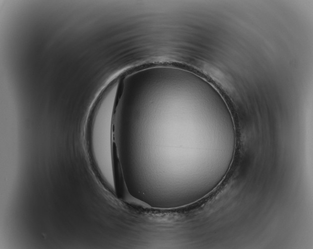 X0000094950934200712061248