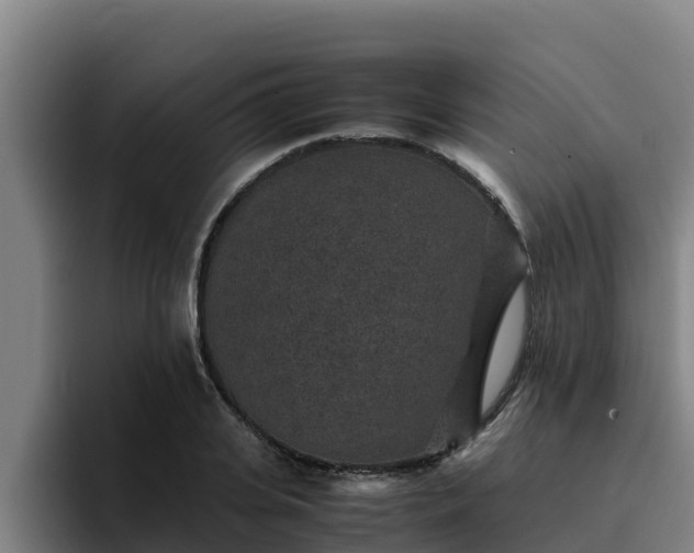 X0000094950935200712061248