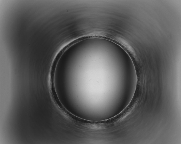 X0000094950936200712061248