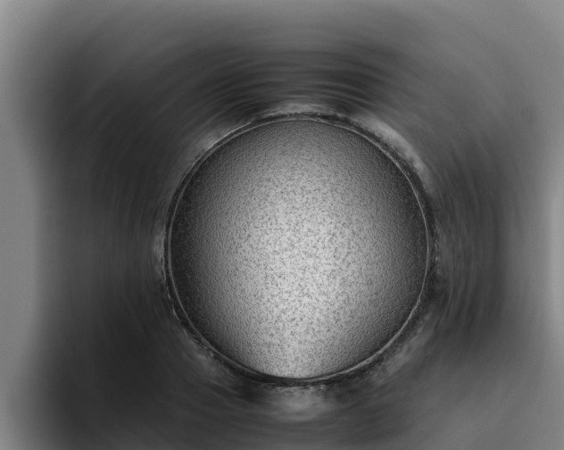 X0000094950937200712061248