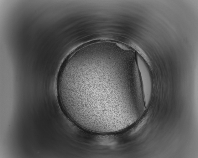 X0000094950939200712061248