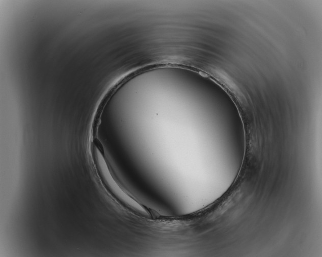 X0000094950940200712061248