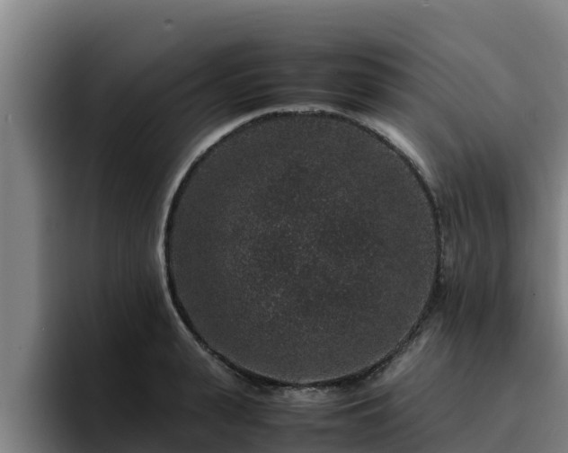 X0000094950943200712061248