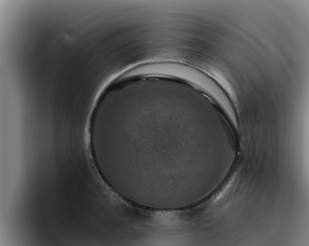 X0000094950944200712061248