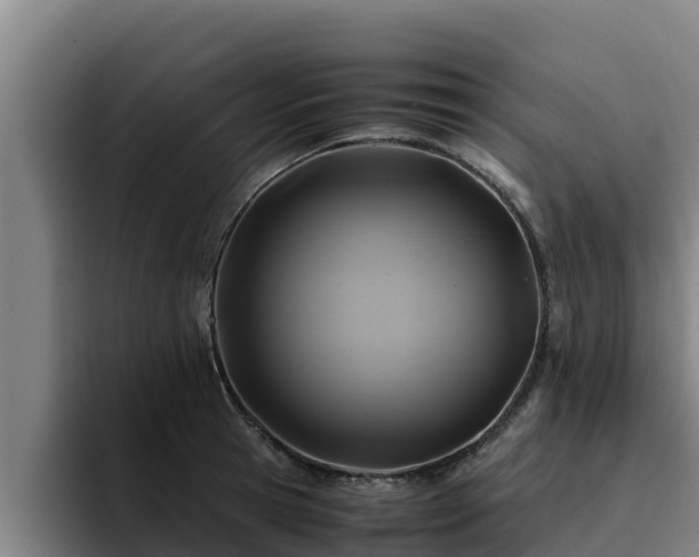 X0000094950945200712061248