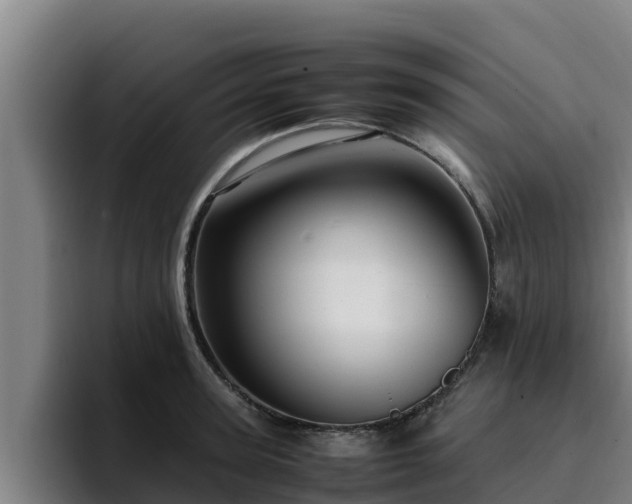 X0000094950947200712061248