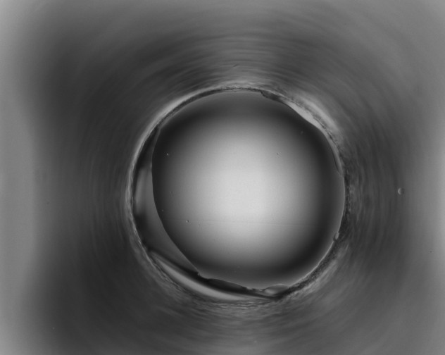 X0000094950948200712061248