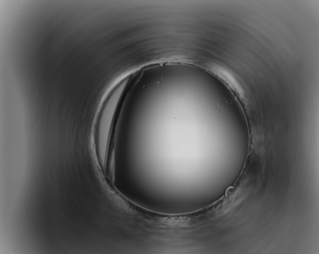 X0000094950952200712061248