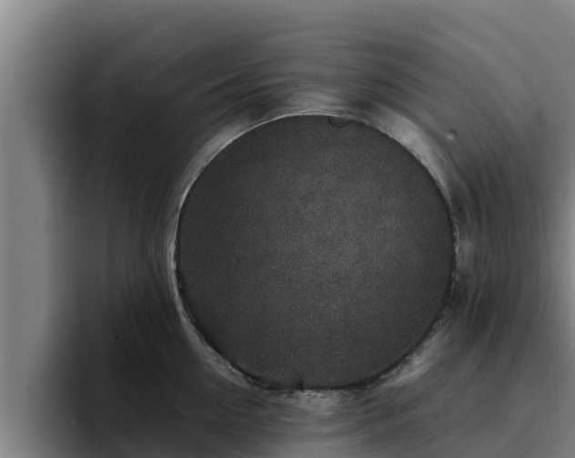 X0000094950954200712061248