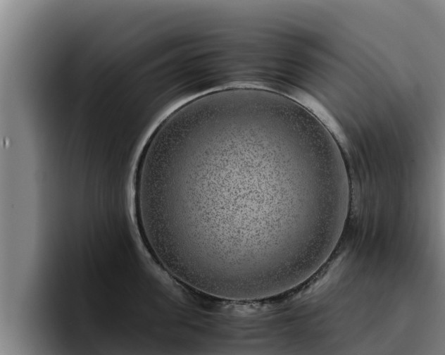 X0000094950955200712061248