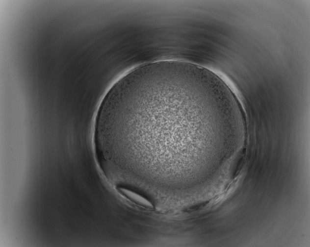 X0000094950957200712061249