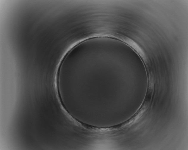 X0000094950958200712061249