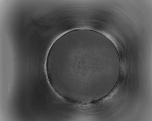 X0000094950959200712061249