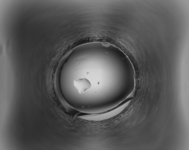 X0000094950961200712061248