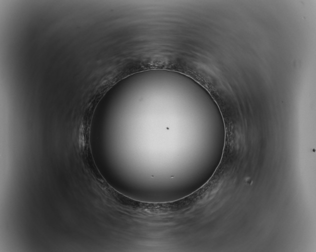 X0000094950962200712061248