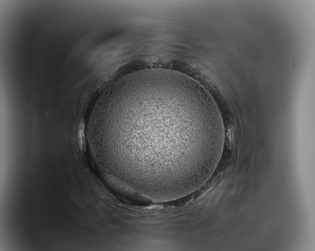 X0000094950963200712061248