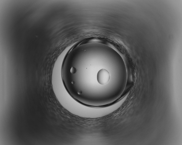 X0000094950965200712061248