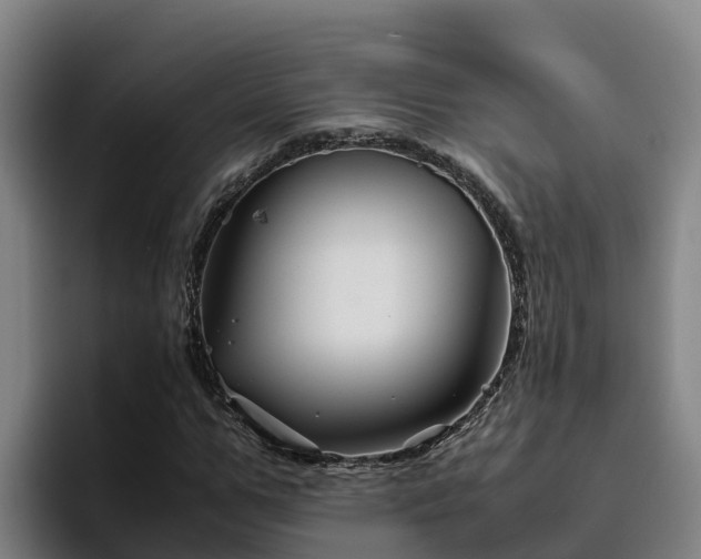 X0000094950967200712061248