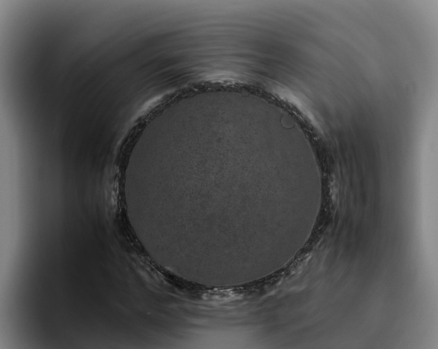 X0000094950968200712061248