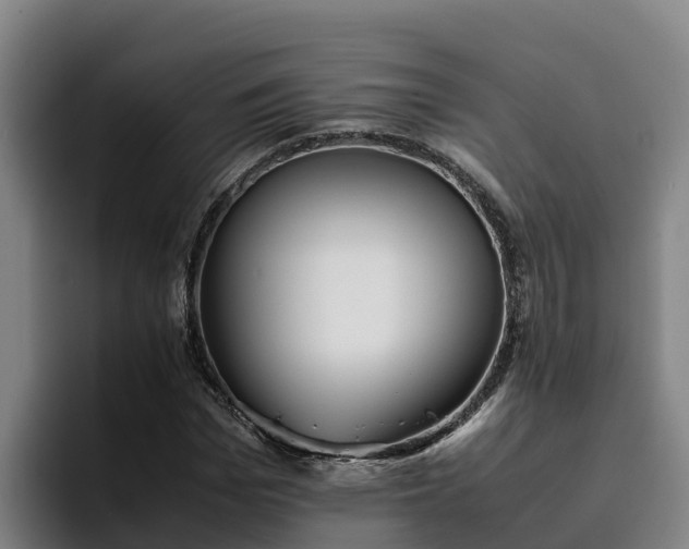 X0000094950969200712061248