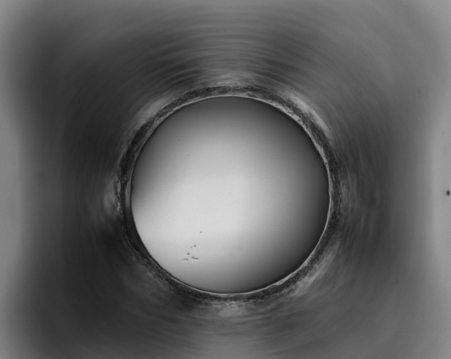 X0000094950970200712061248