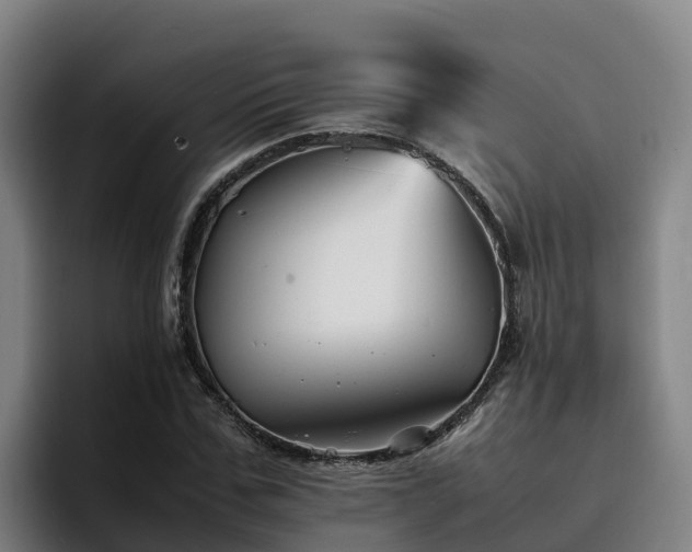 X0000094950971200712061248