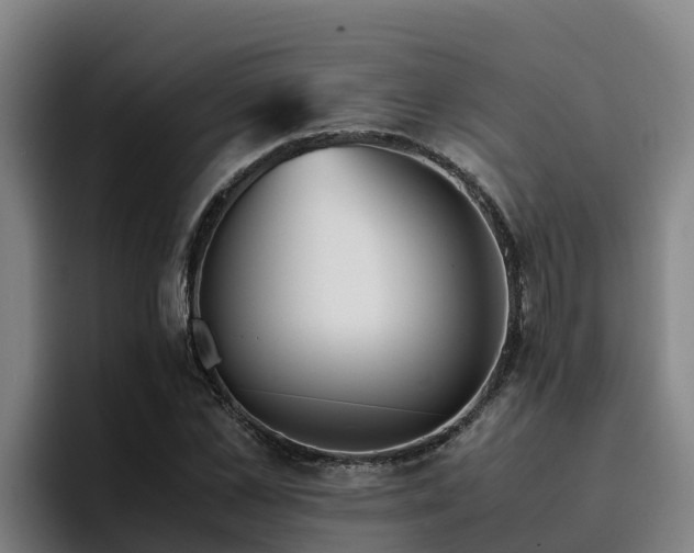 X0000094950973200712061248