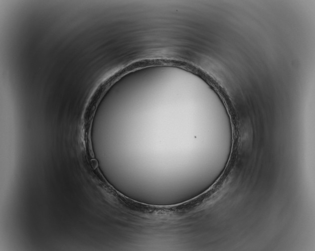 X0000094950974200712061248