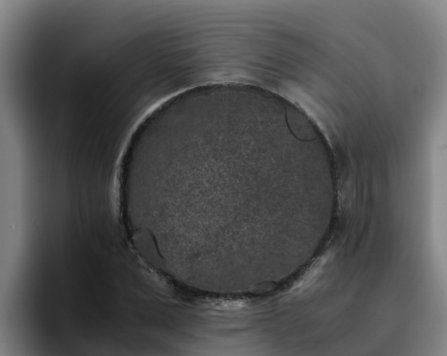 X0000094950975200712061248