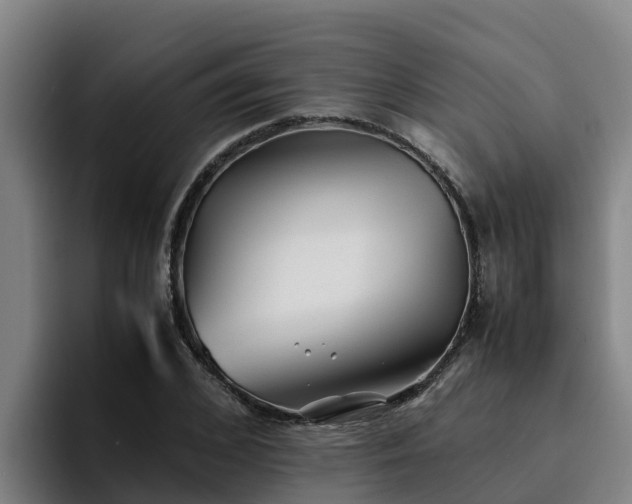 X0000094950976200712061248