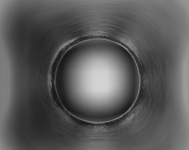 X0000094950979200712061248