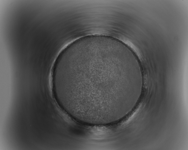 X0000094950983200712061248