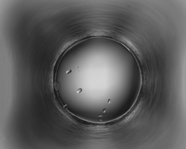 X0000094950986200712061248