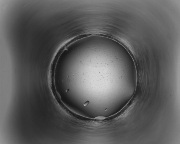 X0000094950987200712061248