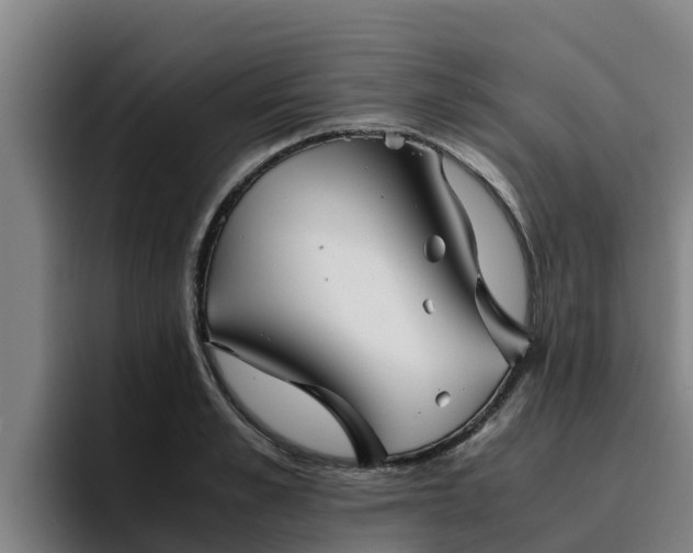 X0000094950989200712061248