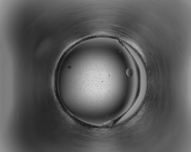 X0000094950991200712061248