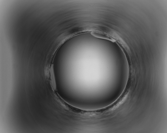 X0000094950993200712061248