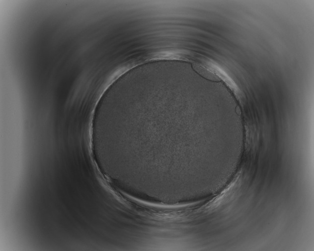 X0000094950994200712061247