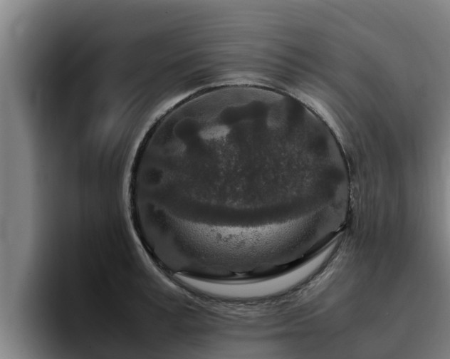 X0000094950995200712061247