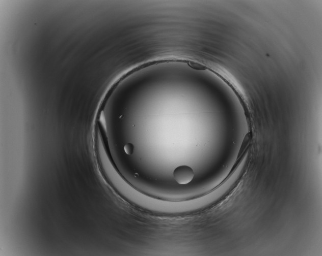 X0000094950996200712061247