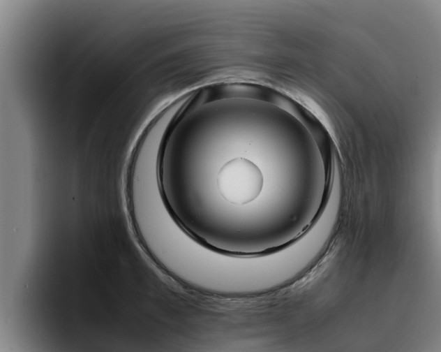 X0000094950997200712061247