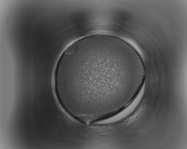 X0000094950999200712061247