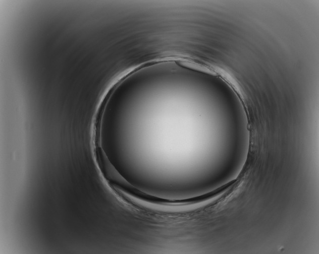 X0000094951003200712061247