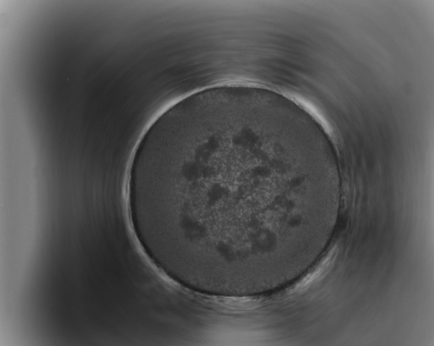 X0000094951007200712061247