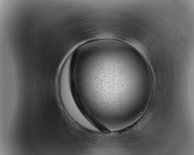 X0000094951008200712061247