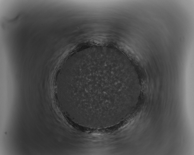 X0000094951009200712061247