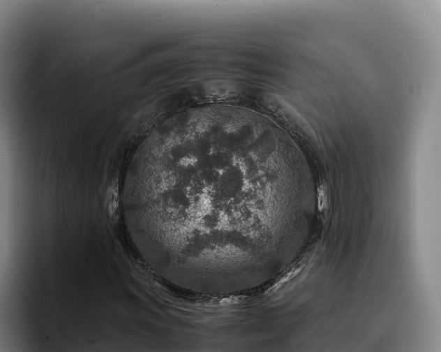 X0000094951011200712061247