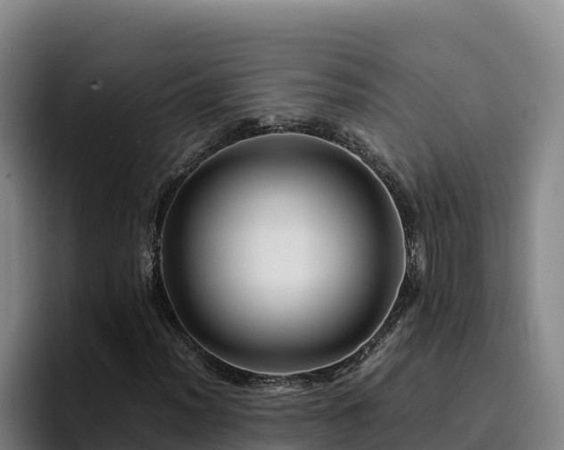 X0000094951012200712061247