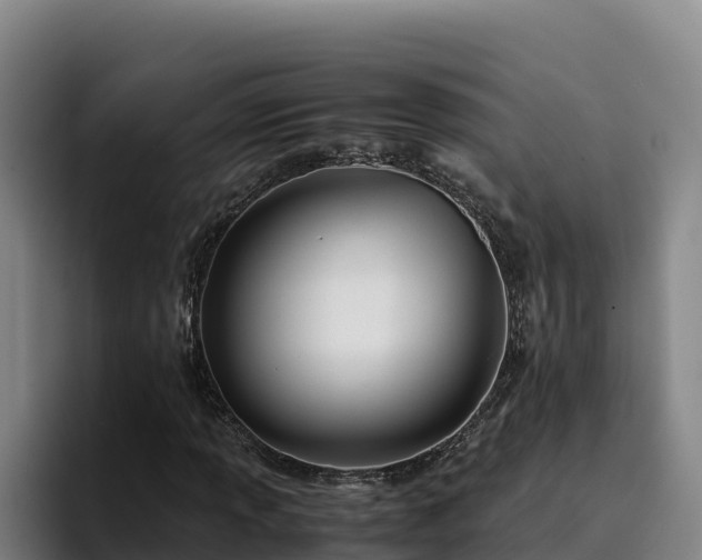 X0000094951013200712061247