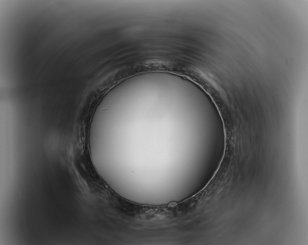 X0000094951015200712061247